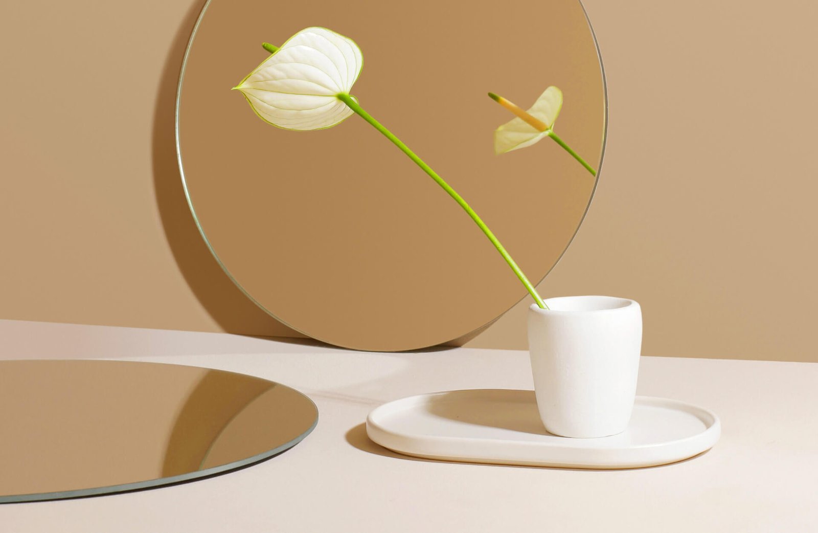 Plates, bowls, serving dishes